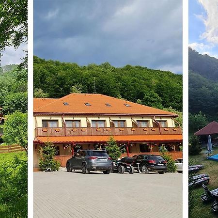 Pensiunea Castania - Pensiune Cu Piscina La Munte Половраги Екстериор снимка