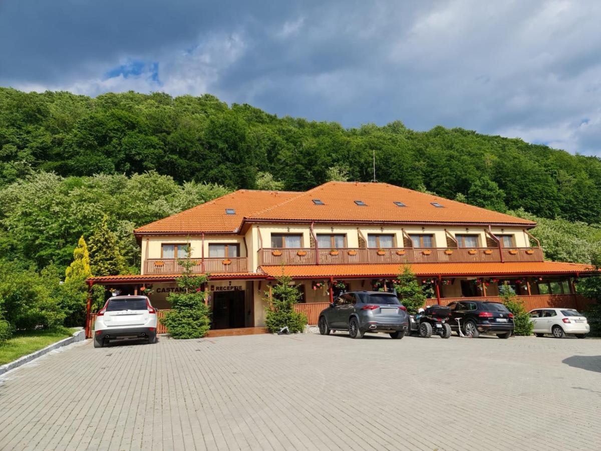 Pensiunea Castania - Pensiune Cu Piscina La Munte Половраги Екстериор снимка