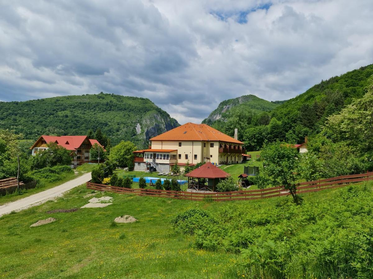Pensiunea Castania - Pensiune Cu Piscina La Munte Половраги Екстериор снимка