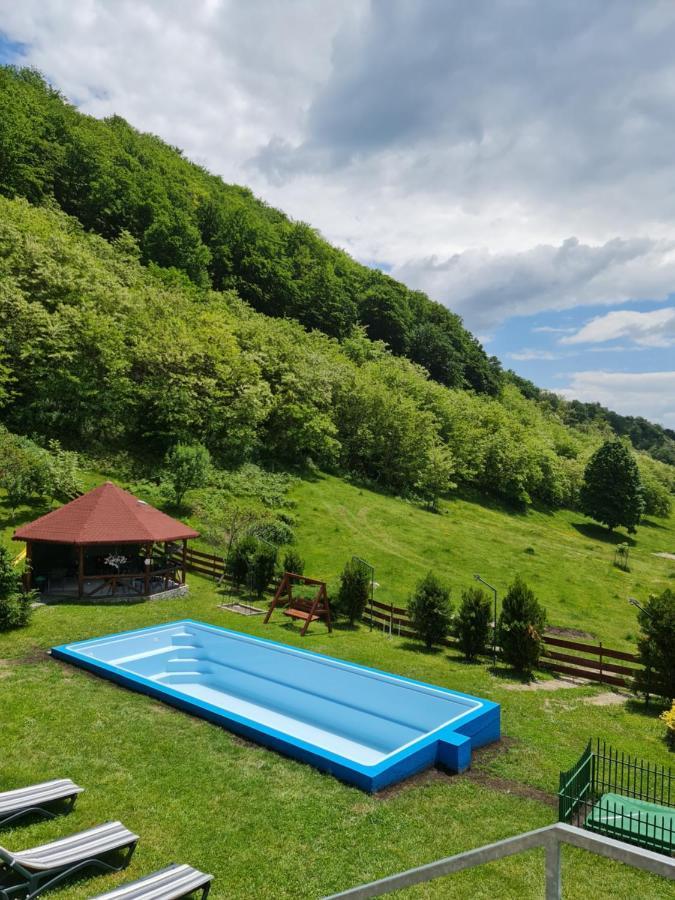 Pensiunea Castania - Pensiune Cu Piscina La Munte Половраги Екстериор снимка