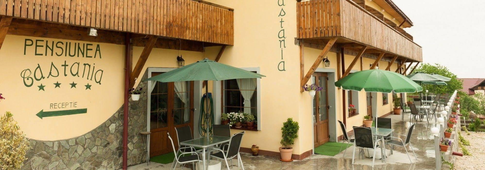 Pensiunea Castania - Pensiune Cu Piscina La Munte Половраги Екстериор снимка