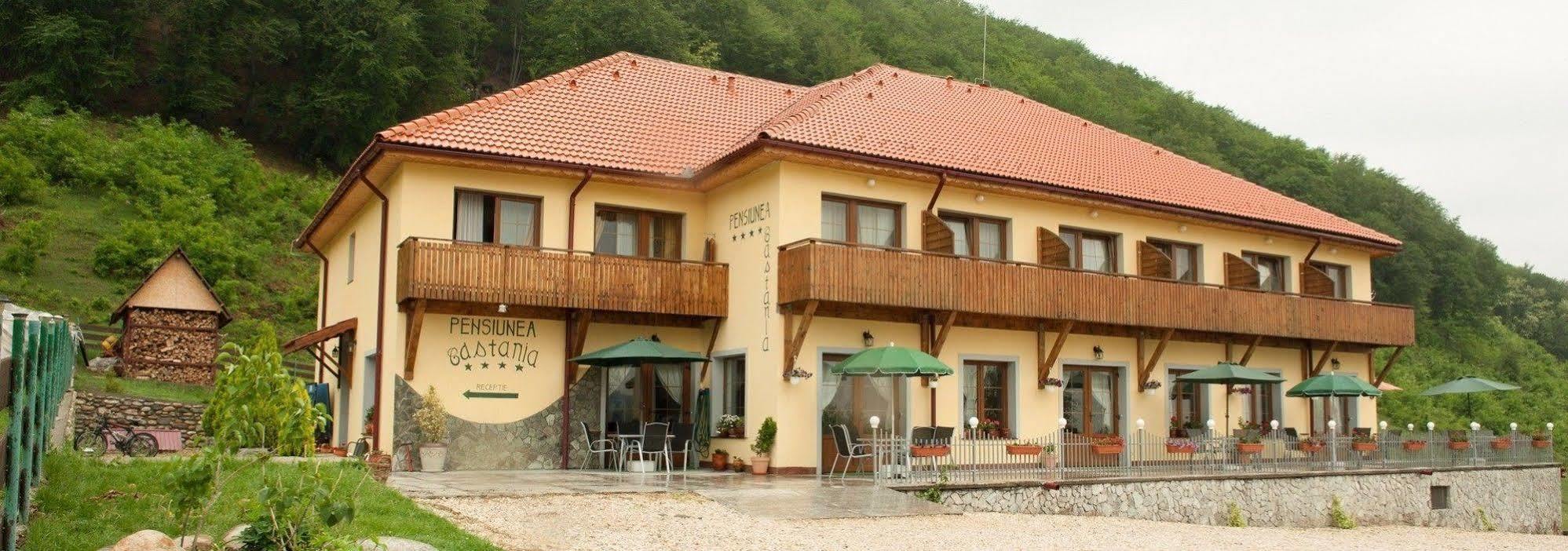 Pensiunea Castania - Pensiune Cu Piscina La Munte Половраги Екстериор снимка