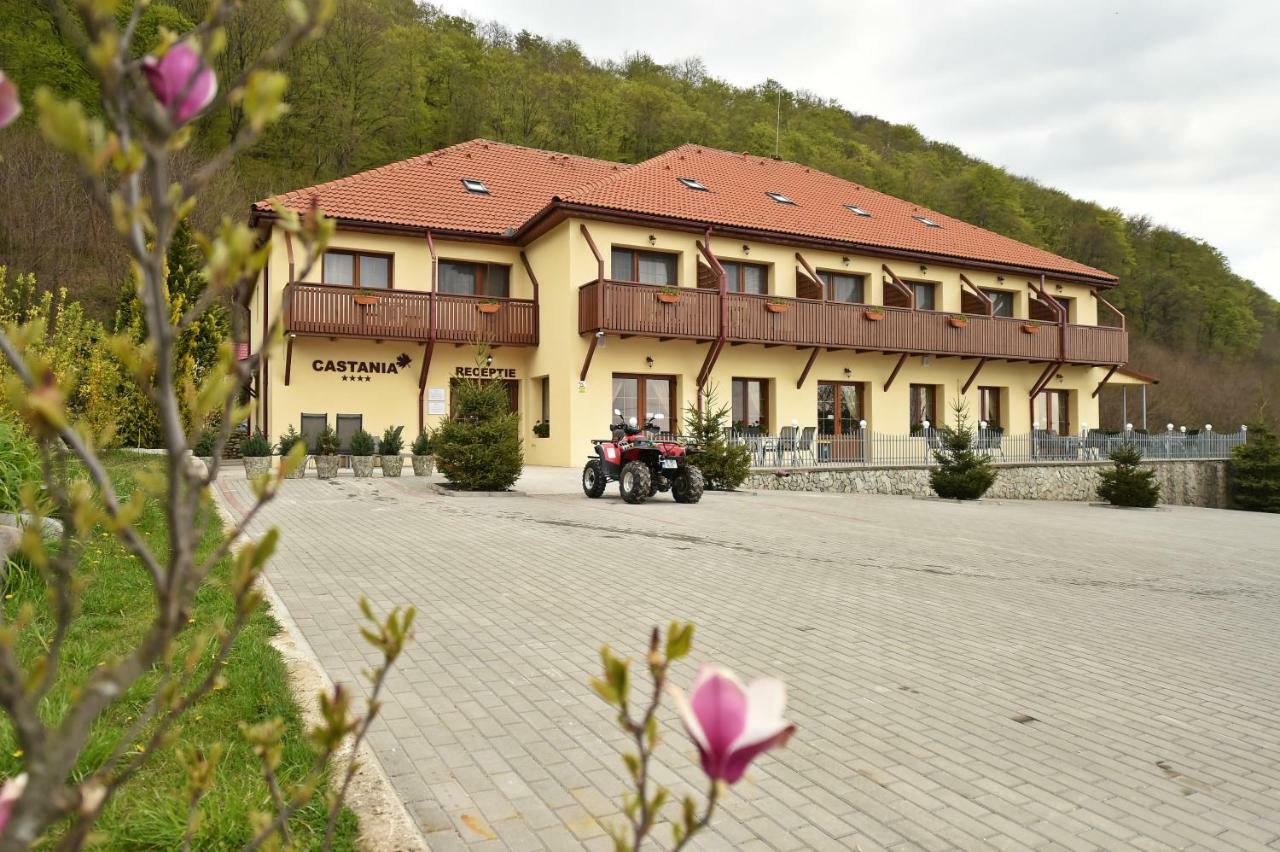 Pensiunea Castania - Pensiune Cu Piscina La Munte Половраги Екстериор снимка